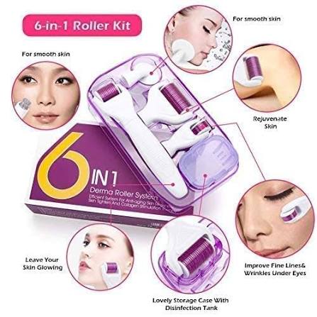 6 in 1 Derma Roller System